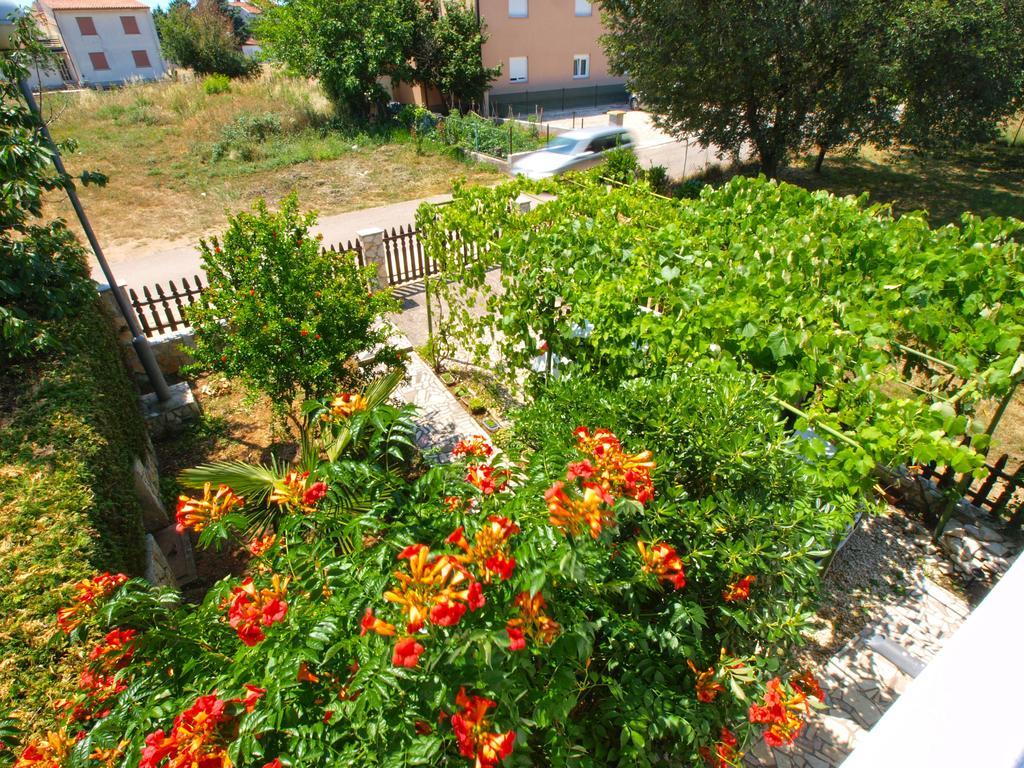 Apartments Zlatko 1397 Štinjan Buitenkant foto